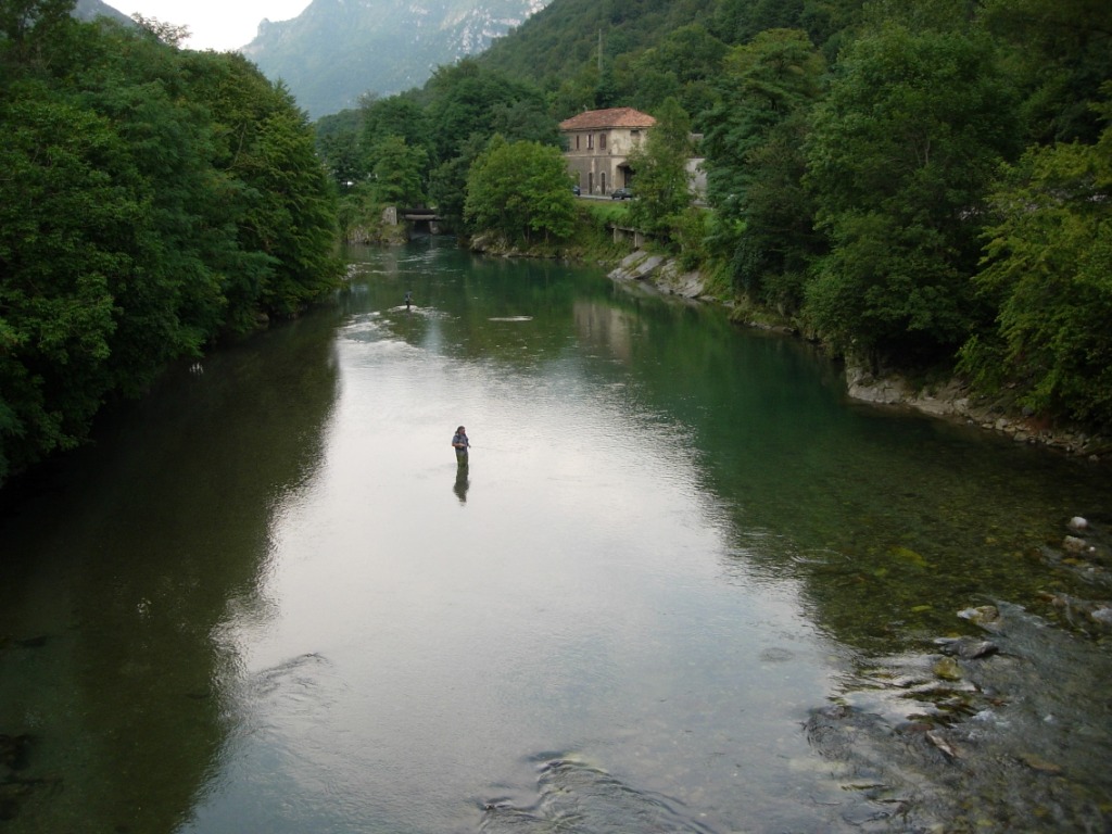 bollano i temoli